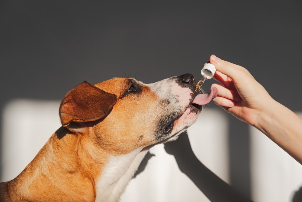 Consider joint supplements