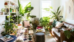 Greenery-Inside-of-Your-Living-Room-700x394
