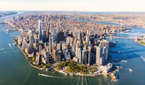 New York City Congrete Jungle