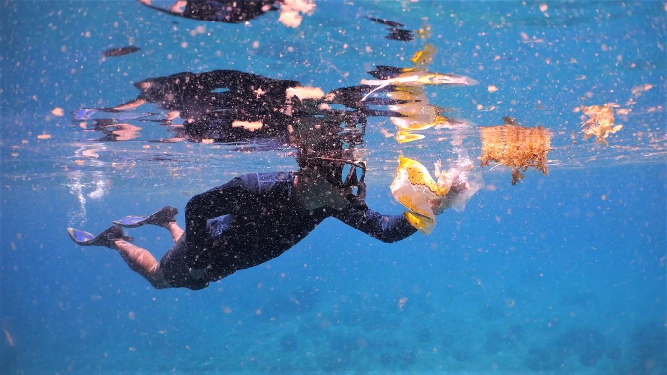 Plastic-Free-July-Image