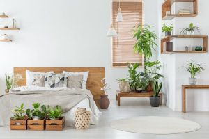 belledorm - eco-friendly 1 1024x1024