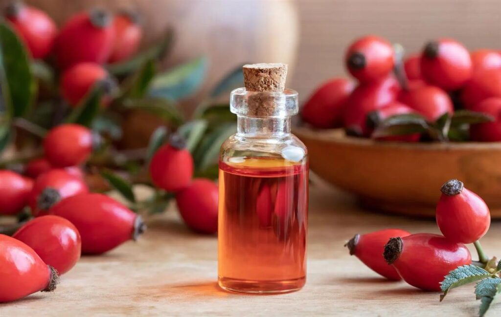 bottle-of-rose-hip-seed-oil-with-fresh-rose-hips-royalty-free-image-1054637112-1545070653-3