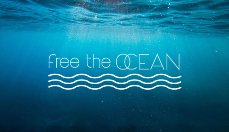 free-the-ocean-social-share-image-1024x590
