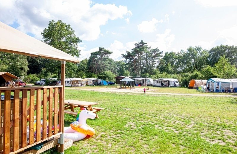 witterzomer-286