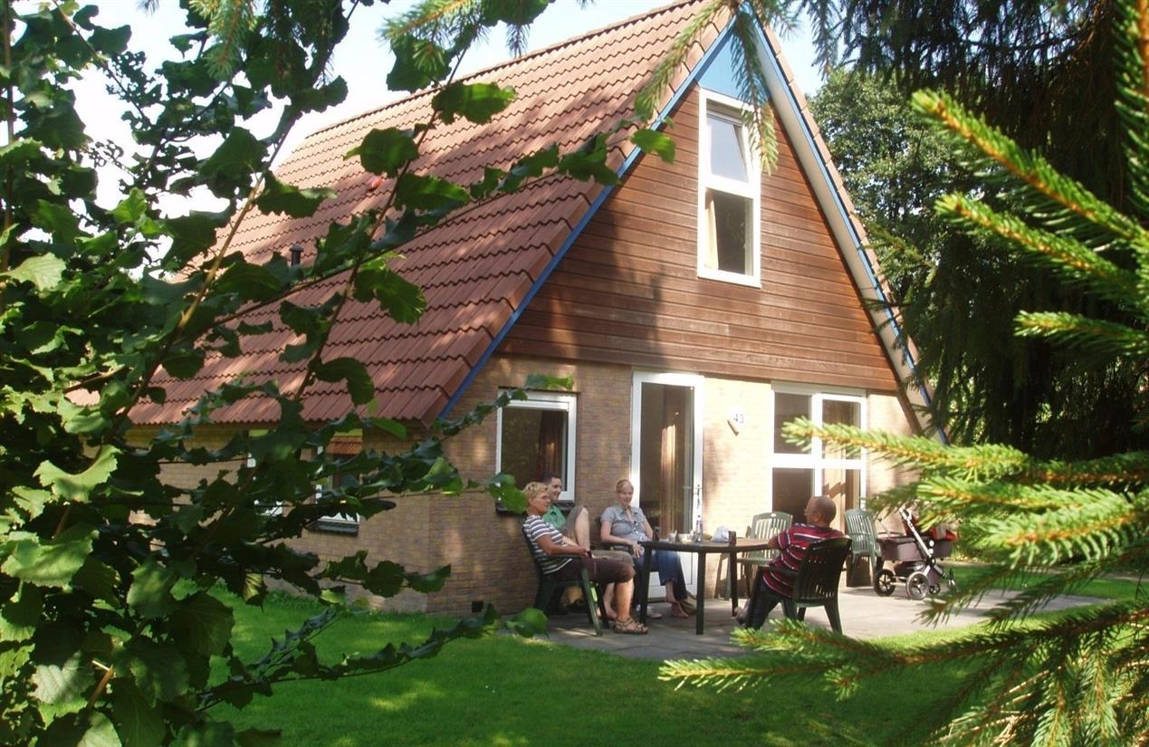 witterzomer-593